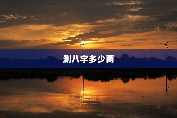 测八字多少两