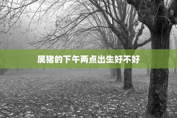 属猪的下午两点出生好不好