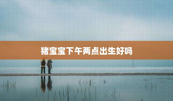 猪宝宝下午两点出生好吗