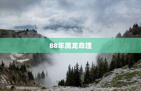 88年属龙命理