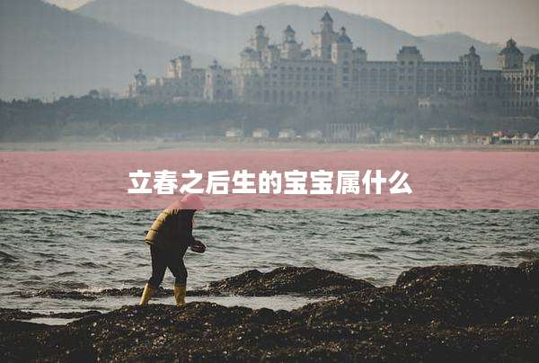立春之后生的宝宝属什么