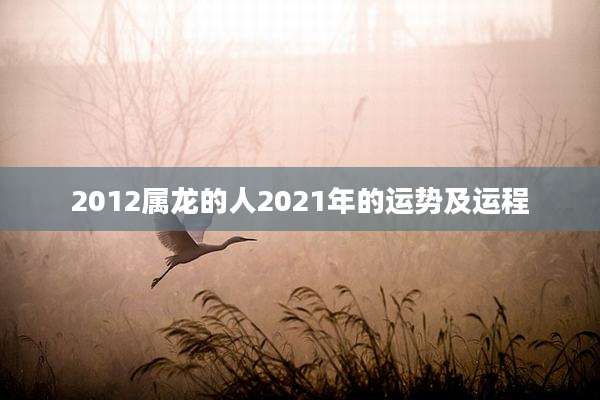 2012属龙的人2021年的运势及运程