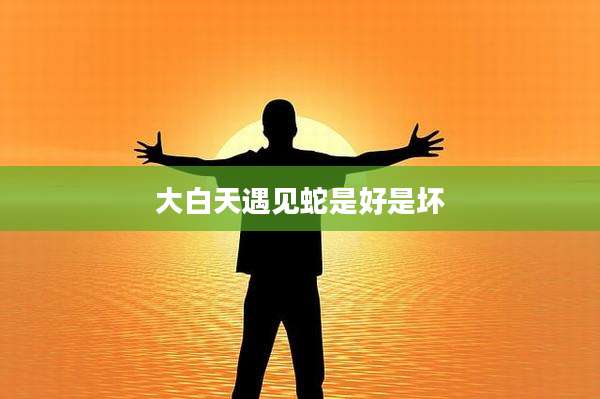 大白天遇见蛇是好是坏