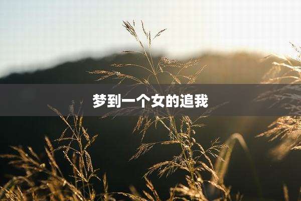 梦到一个女的追我