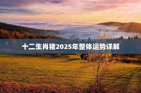 十二生肖猪2025年整体运势详解