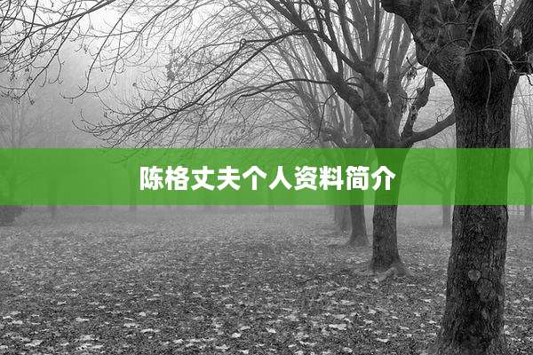 陈格丈夫个人资料简介