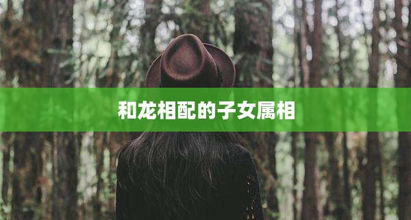 和龙相配的子女属相