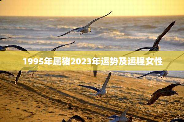 1995年属猪2023年运势及运程女性