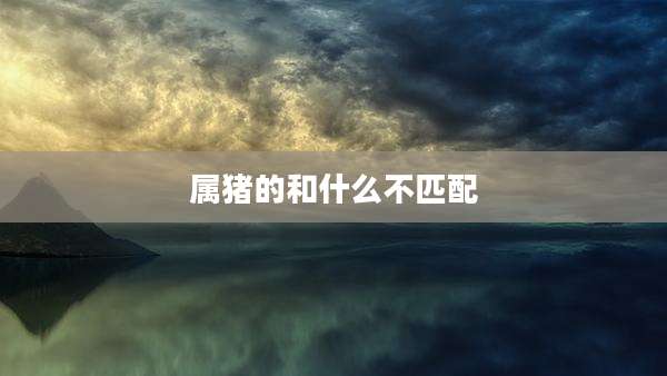 属猪的和什么不匹配