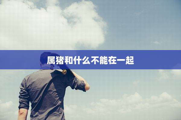 属猪和什么不能在一起