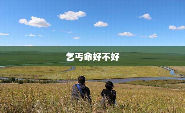 乞丐命好不好