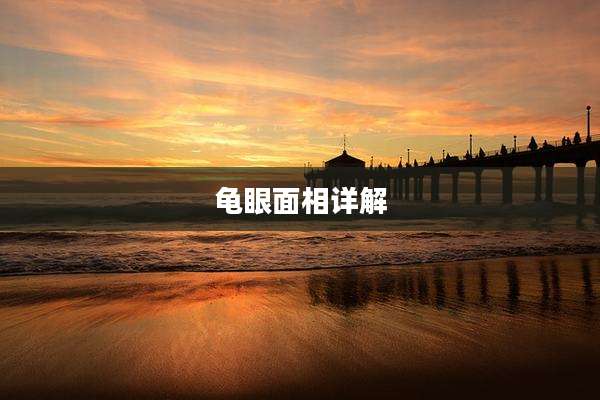 龟眼面相详解