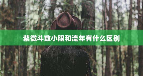 紫微斗数小限和流年有什么区别