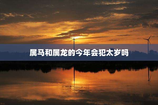 属马和属龙的今年会犯太岁吗
