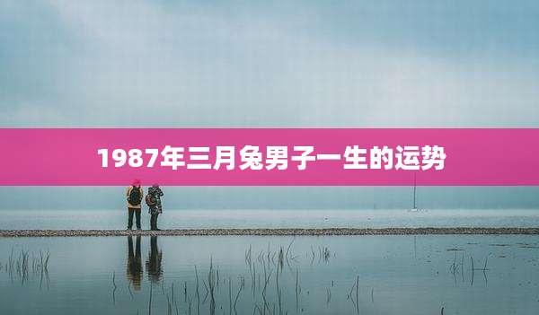 1987年三月兔男子一生的运势