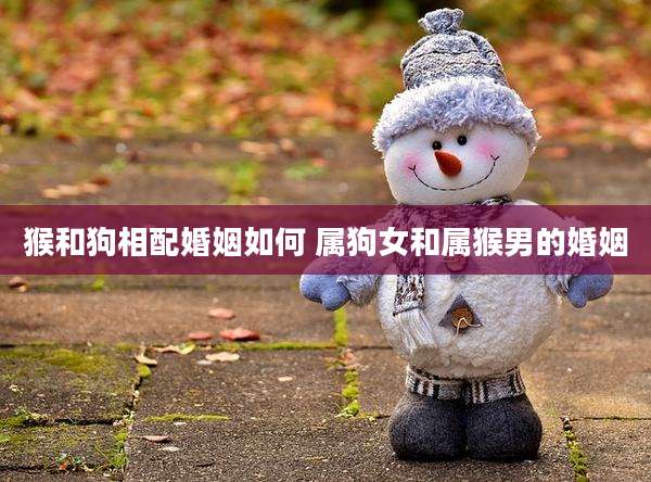 猴和狗相配婚姻如何 属狗女和属猴男的婚姻