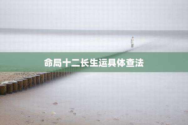 命局十二长生运具体查法