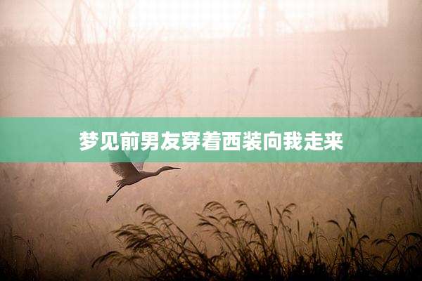 梦见前男友穿着西装向我走来