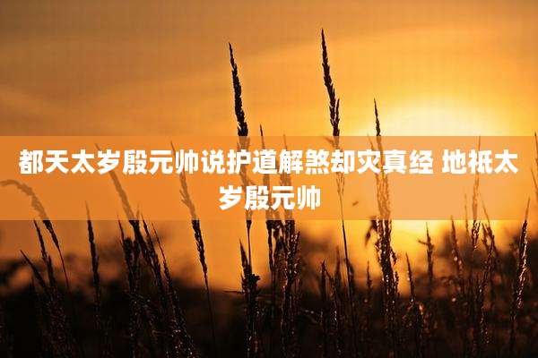 都天太岁殷元帅说护道解煞却灾真经 地祗太岁殷元帅