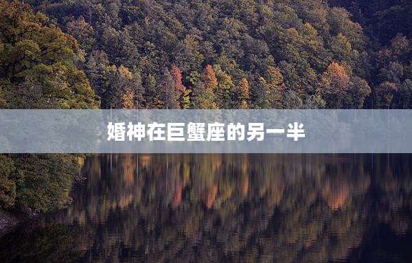 婚神在巨蟹座的另一半