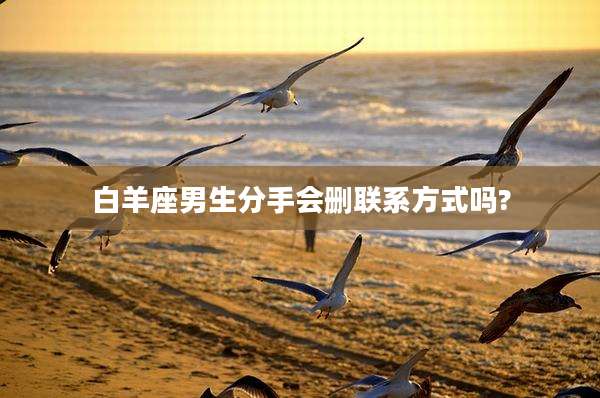 白羊座男生分手会删联系方式吗?
