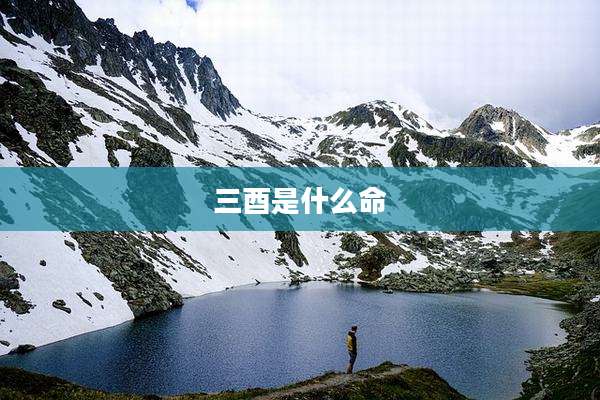 三酉是什么命