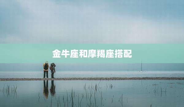 金牛座和摩羯座搭配