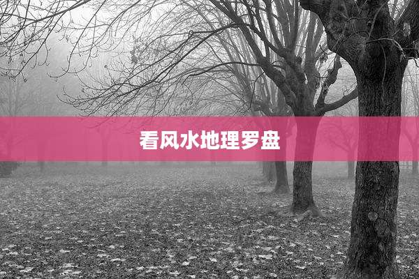 看风水地理罗盘