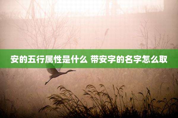 安的五行属性是什么 带安字的名字怎么取