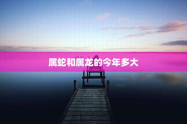 属蛇和属龙的今年多大