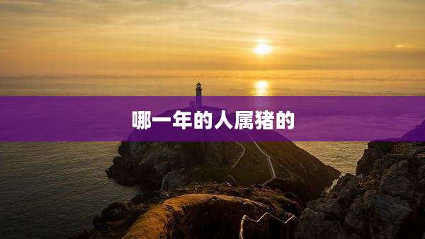 哪一年的人属猪的