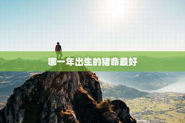 哪一年出生的猪命最好