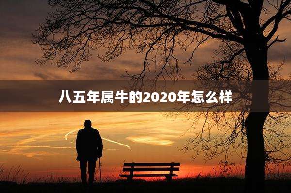 八五年属牛的2020年怎么样