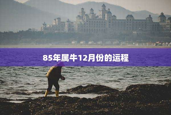 85年属牛12月份的运程
