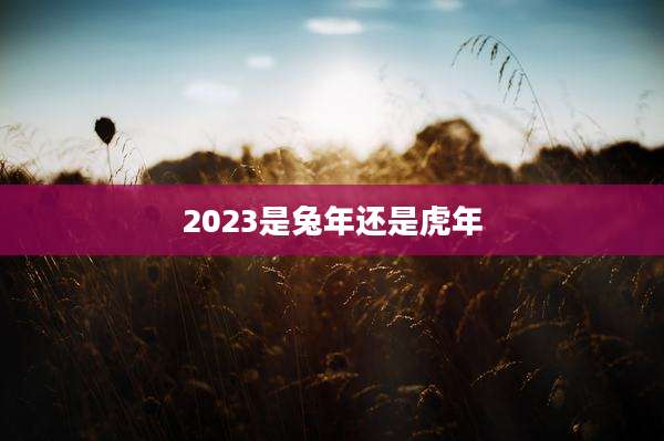 2023是兔年还是虎年