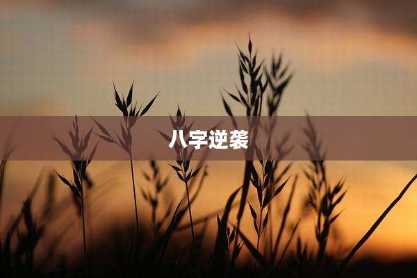 八字逆袭