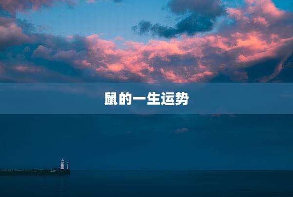 鼠的一生运势