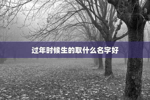 过年时候生的取什么名字好