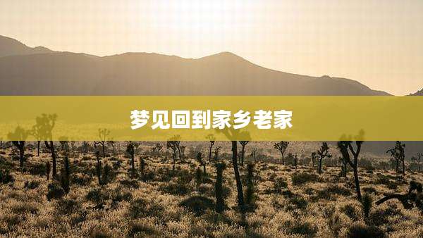 梦见回到家乡老家