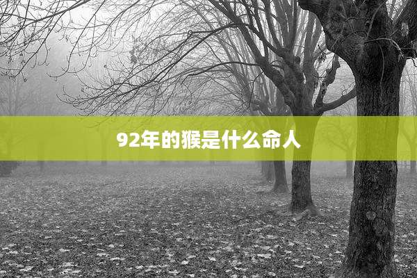 92年的猴是什么命人