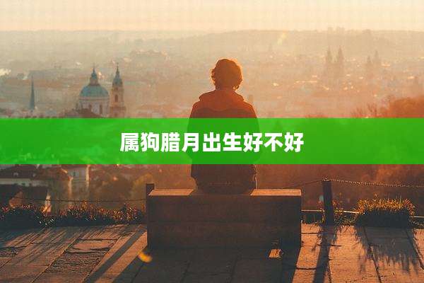属狗腊月出生好不好