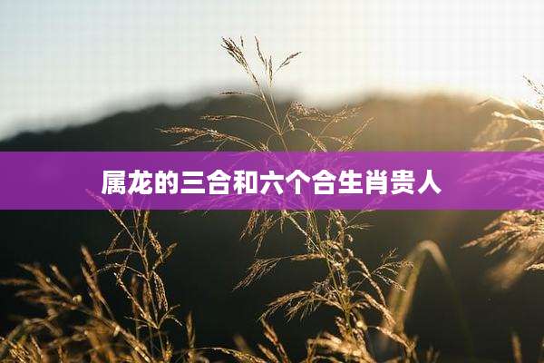 属龙的三合和六个合生肖贵人