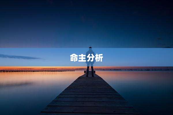 命主分析