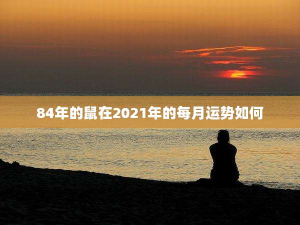84年的鼠在2021年的每月运势如何
