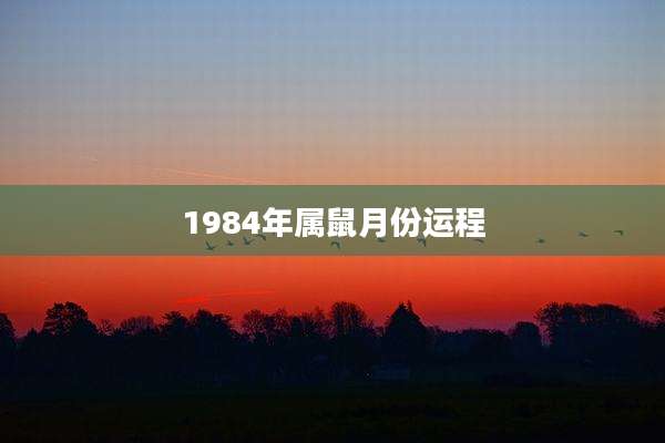1984年属鼠月份运程