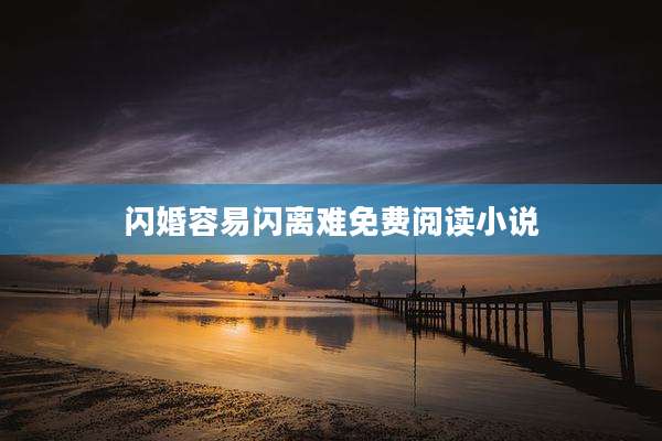 闪婚容易闪离难免费阅读小说