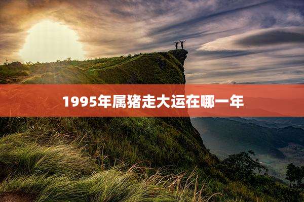 1995年属猪走大运在哪一年