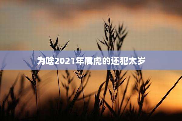 为啥2021年属虎的还犯太岁