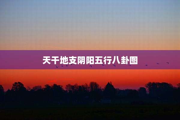 天干地支阴阳五行八卦图