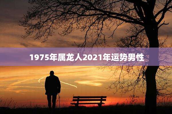 1975年属龙人2021年运势男性